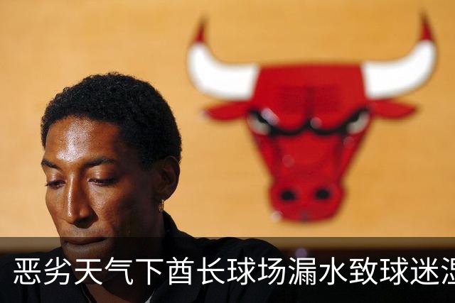 恶劣天气下酋长球场漏水致球迷湿透，阿森纳展开调查